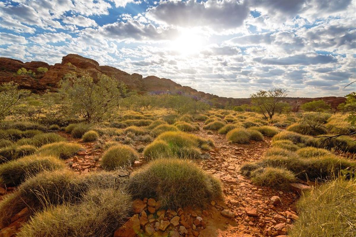 Kings Canyon