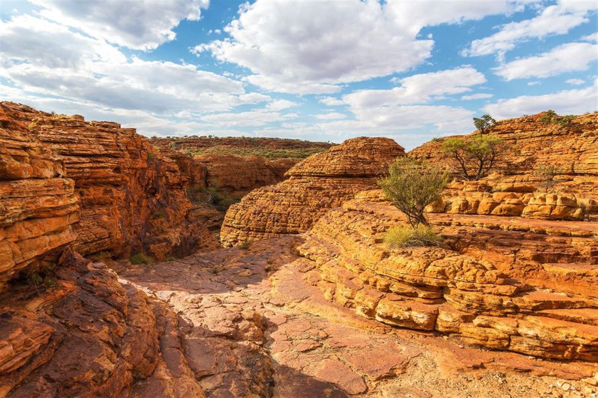 Kings Canyon