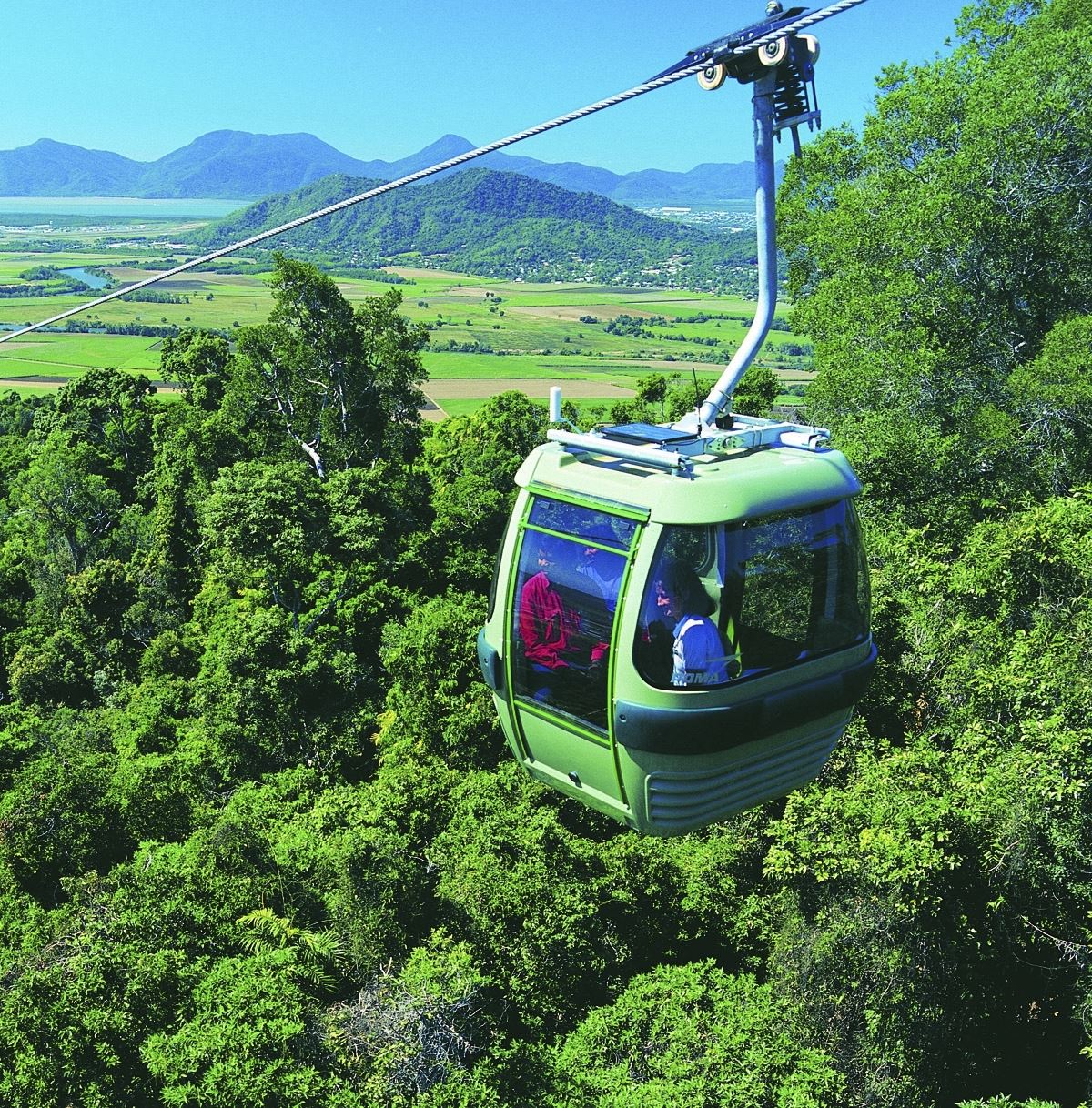 Per Seilbahn über dem Regenwald von Kuranda
