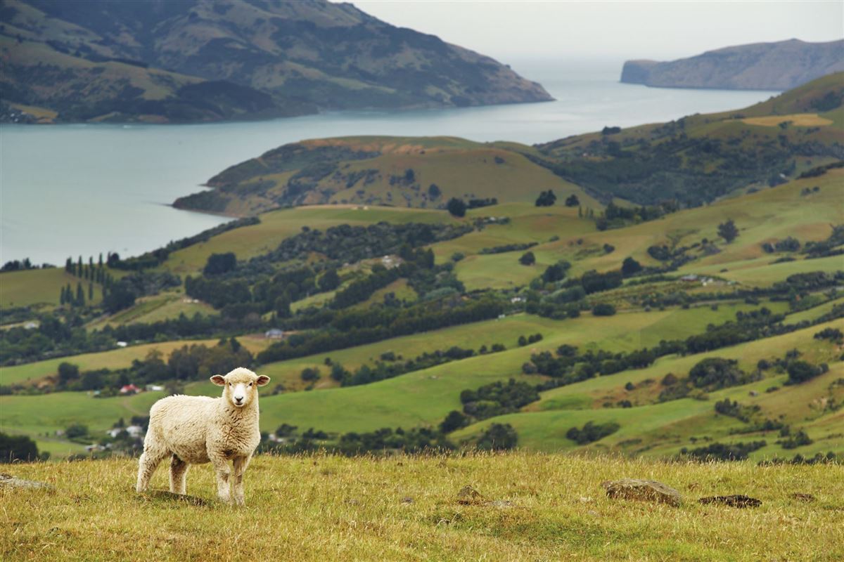 Banks Peninsula in der Nähe von Christchurch