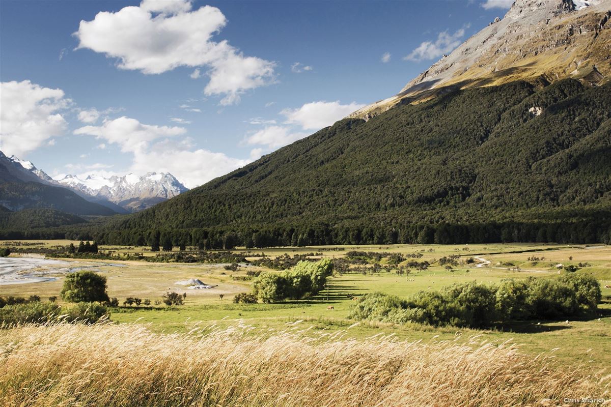 Alpin geprägte Wälder bei Queenstown