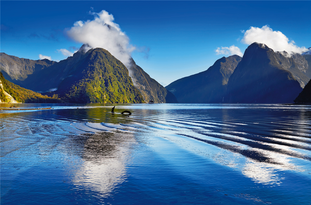 Milford Sound