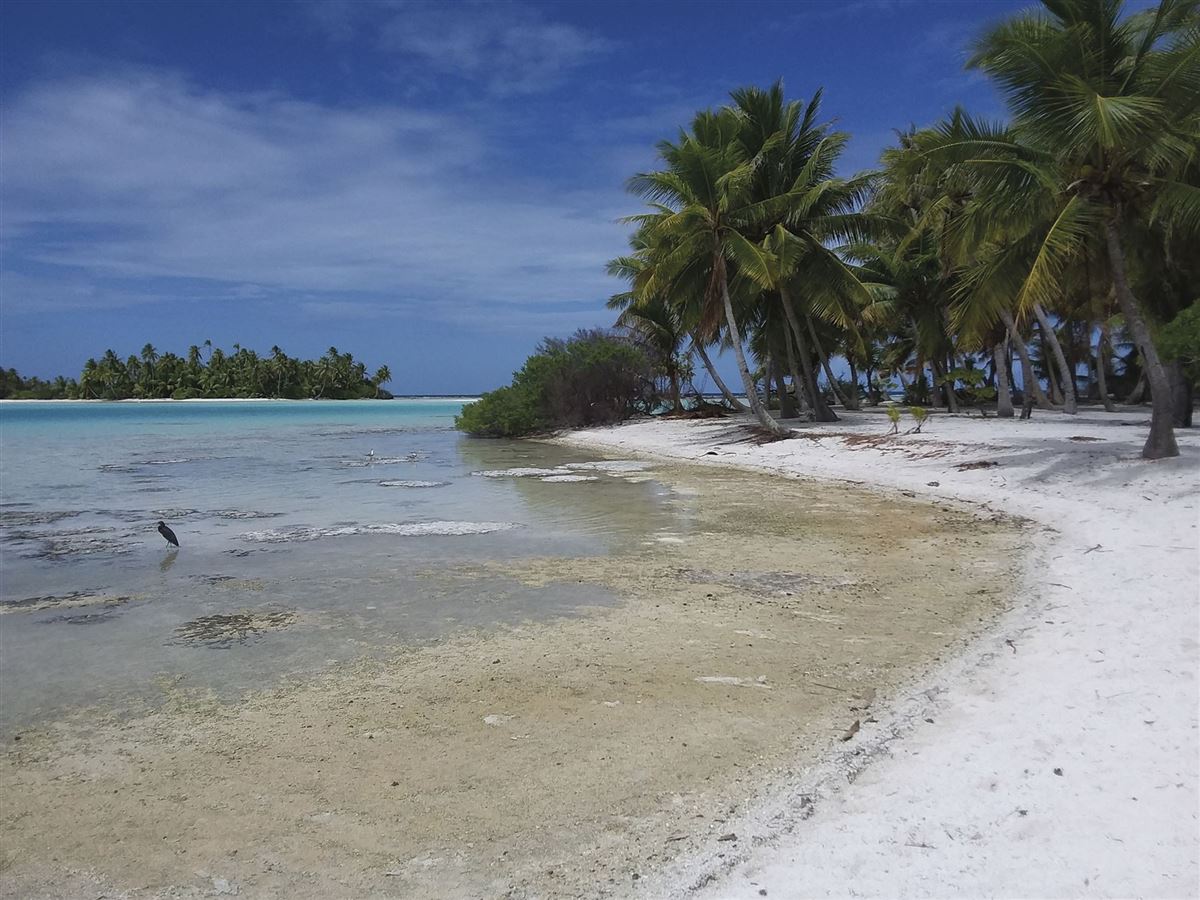 Atoll-Idylle auf Rangiroa