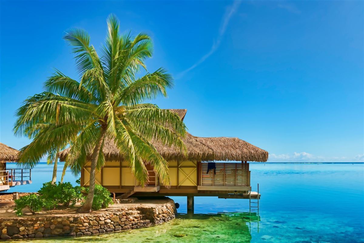 Franz Polynesien