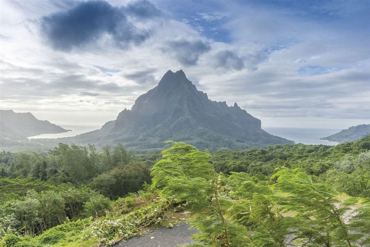 Blick auf die Cooks- und die Opunohu Bay, Moorea