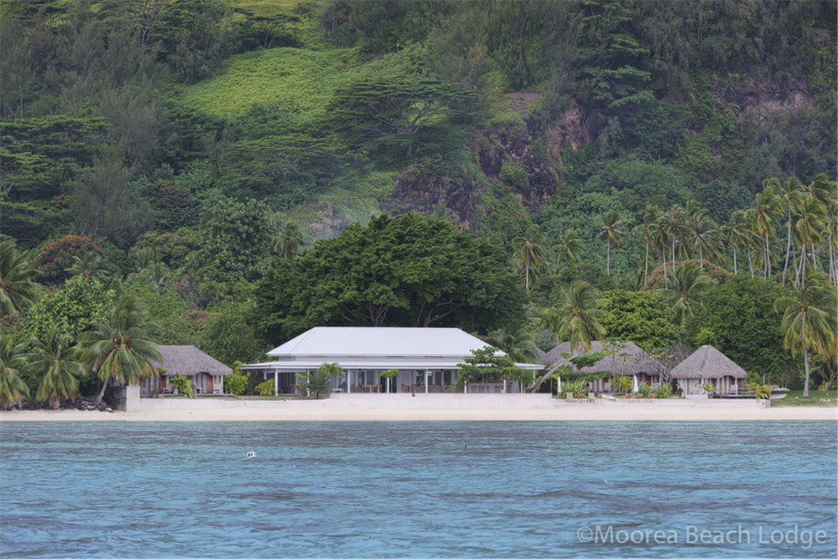 MOOREA ISLAND BEACH