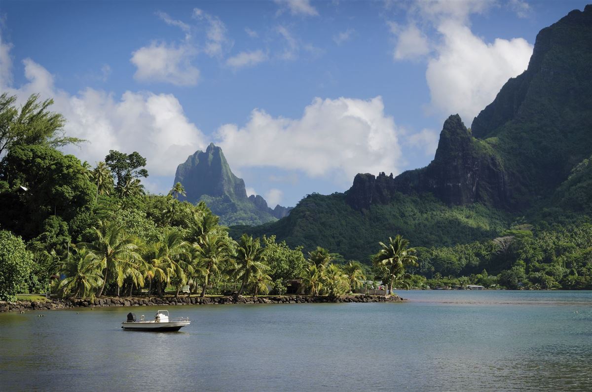 Die grüne Insel Moorea