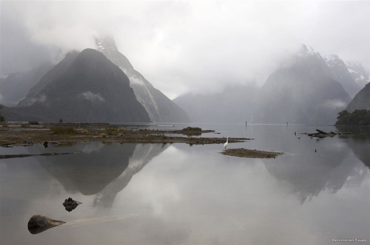 Mystischer Milford Sound