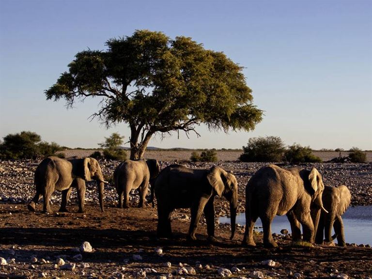 Namibia mit Muße © by Studiosus Reisen