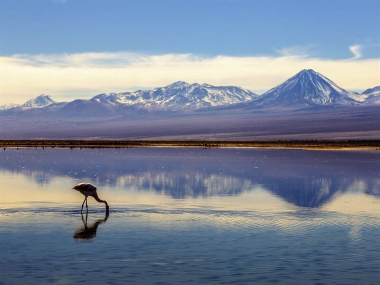 Argentinien – Chile mit Atacamawüste © by Studiosus Reisen
