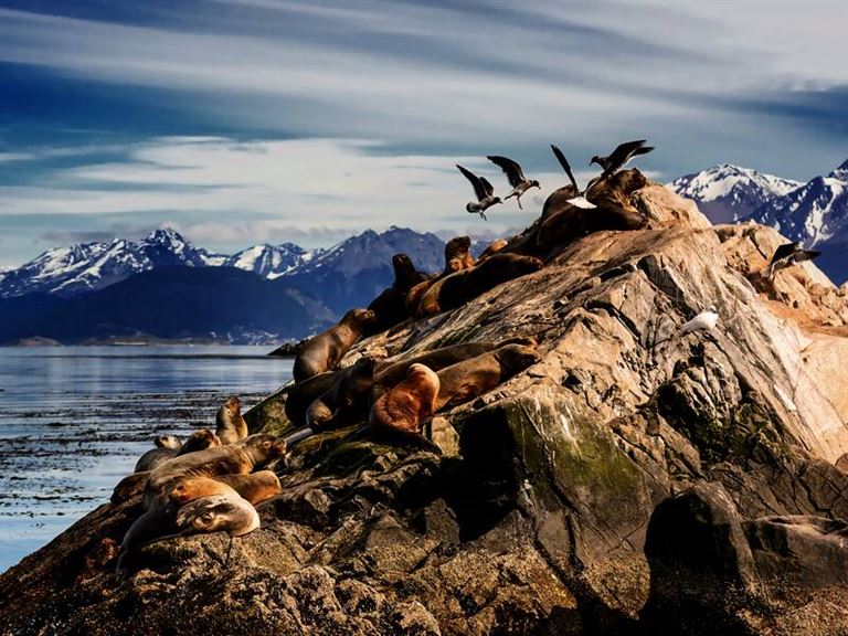 Argentinien-Chile mit Atacamawüste & Osterinsel © by Studiosus Reisen