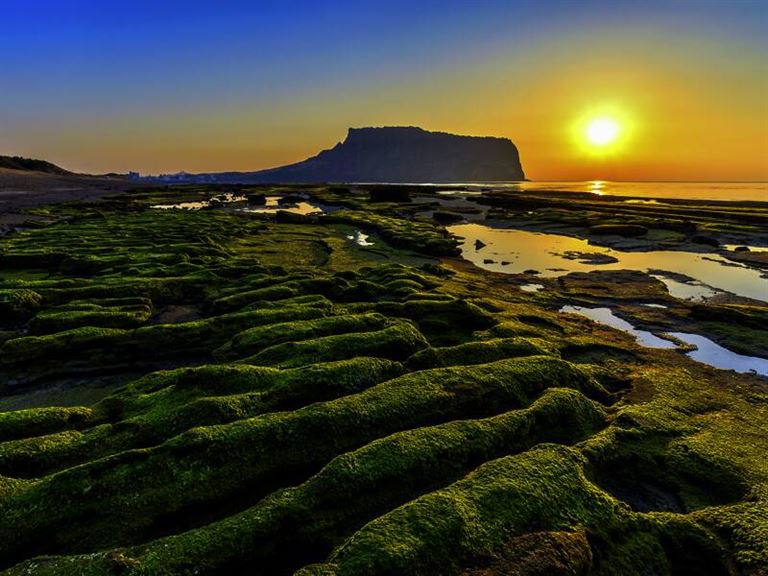 Höhepunkte Südkoreas © by Studiosus Reisen