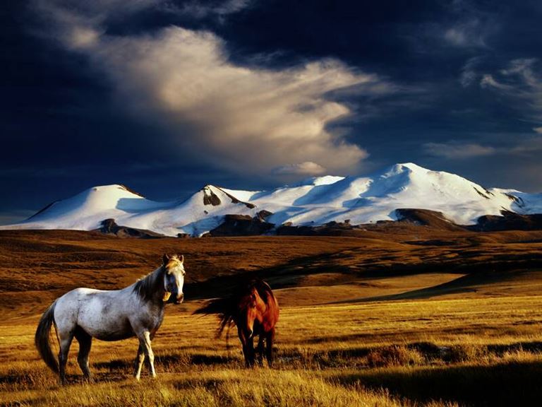Die umfassende Mongolei Reise © by Studiosus Reisen