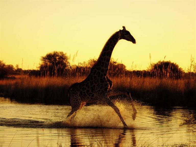 Botswana mit Okavangodelta – Rundreise