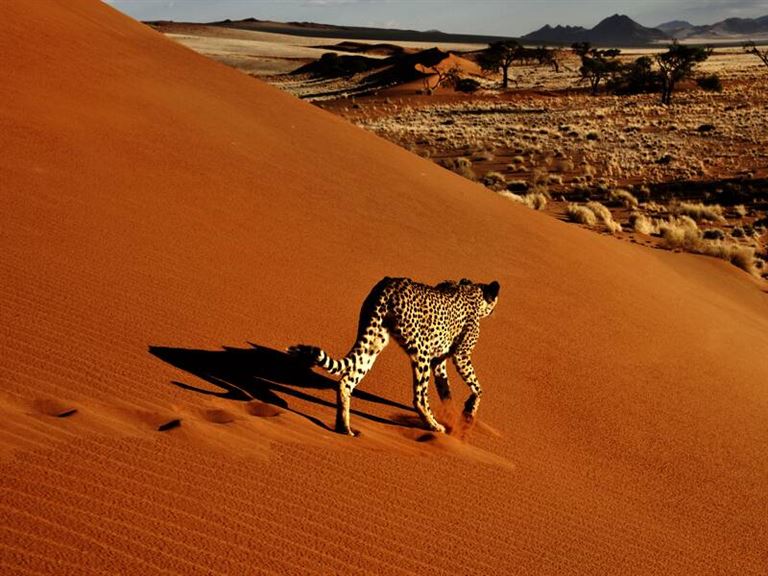 Namibia mit Viktoriafällen und Caprivi © by Studiosus Reisen