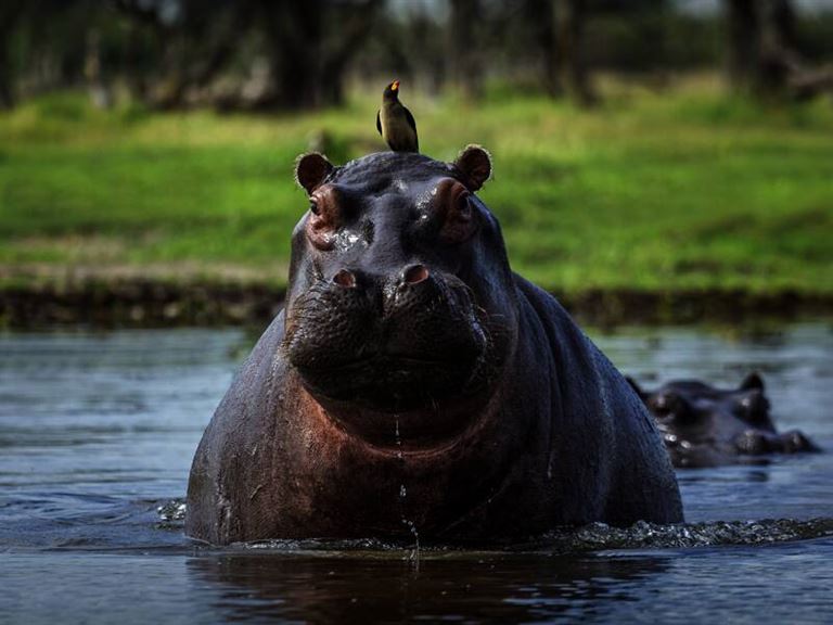 Wunder der Natur © by Studiosus Reisen