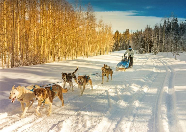 Winterspaß in Finnisch Lappland ©THEPALMER/istock