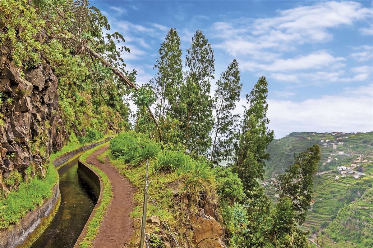 Madeira, Wanderweg entlang einer Levada