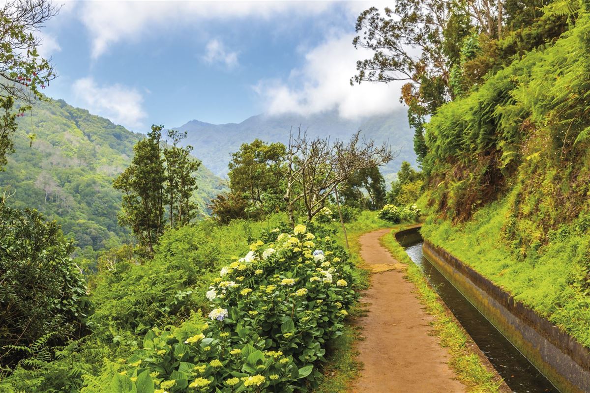 Entlang einer Levada
