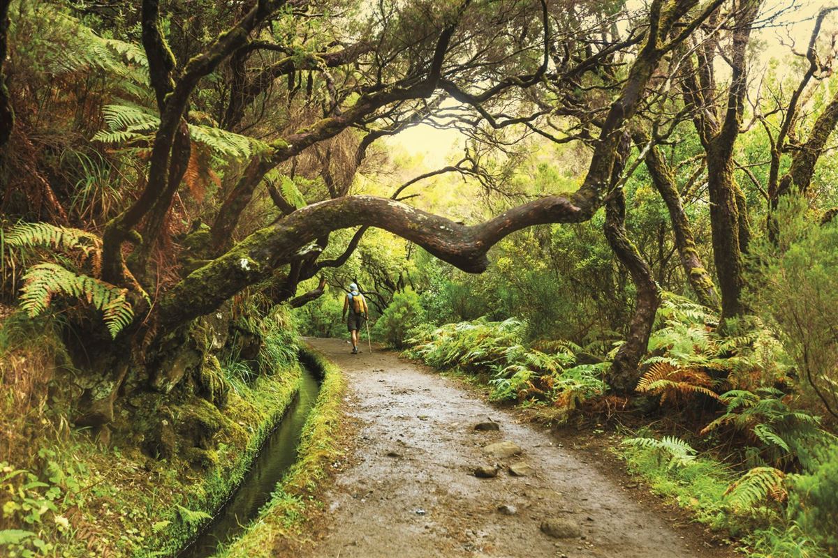 Hervorragende Wanderwege auf Madeira