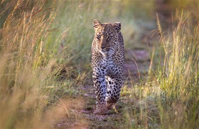 Abenteuer Kenia – Rundreise