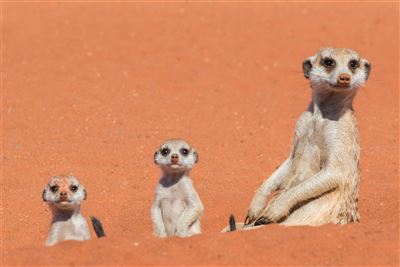 Namibia Classic für Selbstfahrer – Rundreise