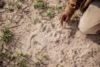 Safari Guide Experience – Rundreise