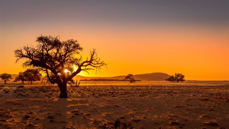 Rovos Rail - von WalvisBay bis Pretoria – Rundreise