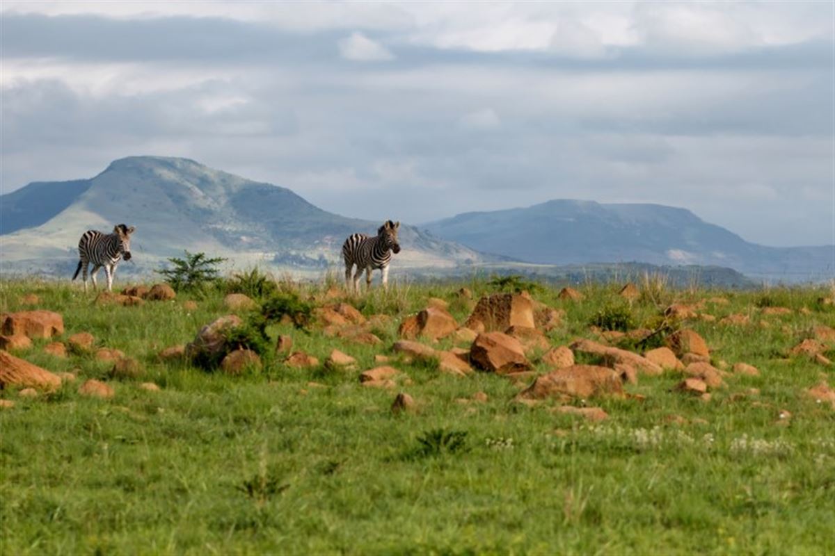 Südafrika