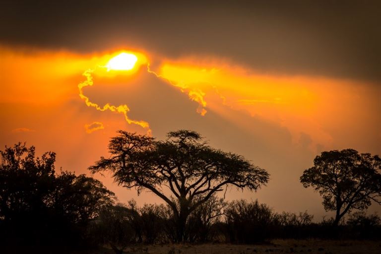 Rovos Rail - von Pretoria bis Victoria Falls – Rundreise