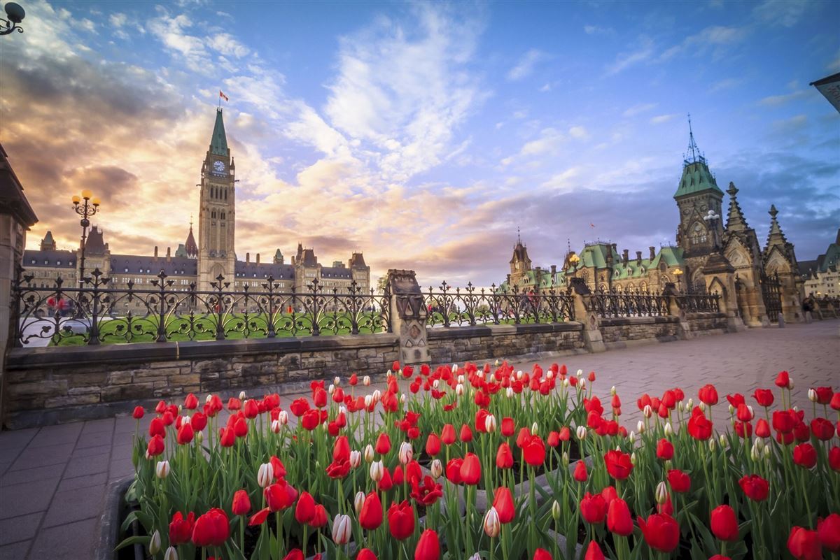Blick auf das Gebäude des kanadischen Parlaments in Ottawa