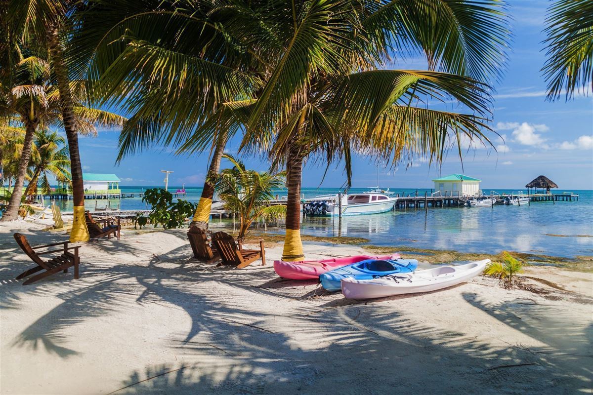 Palmen und Strand auf der Insel Caye Caulker