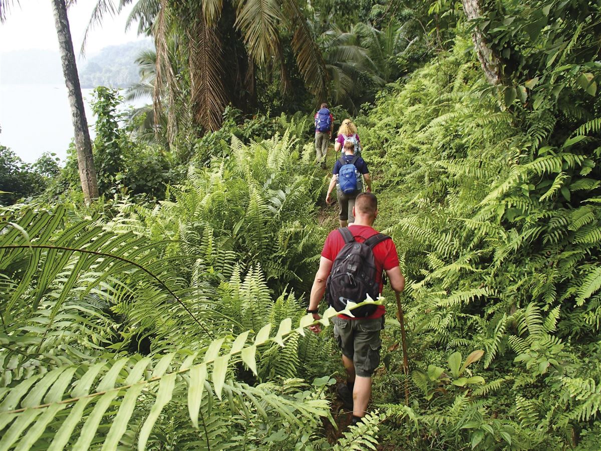 Dschungelwanderung auf Sao Tomé e Principe