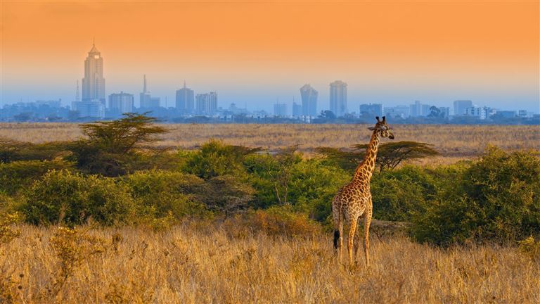 Kombination Kenia & Seychellen – Rundreise
