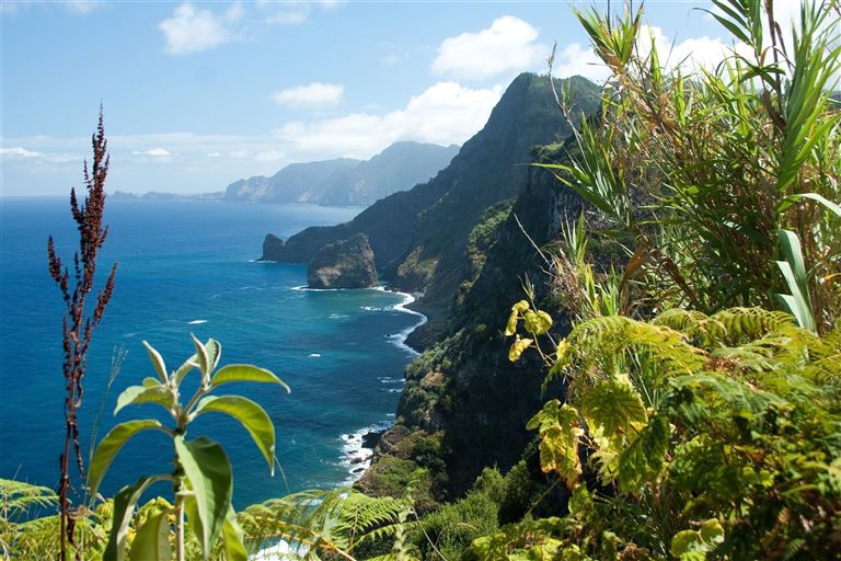 Blumeninsel Madeira – Rundreise