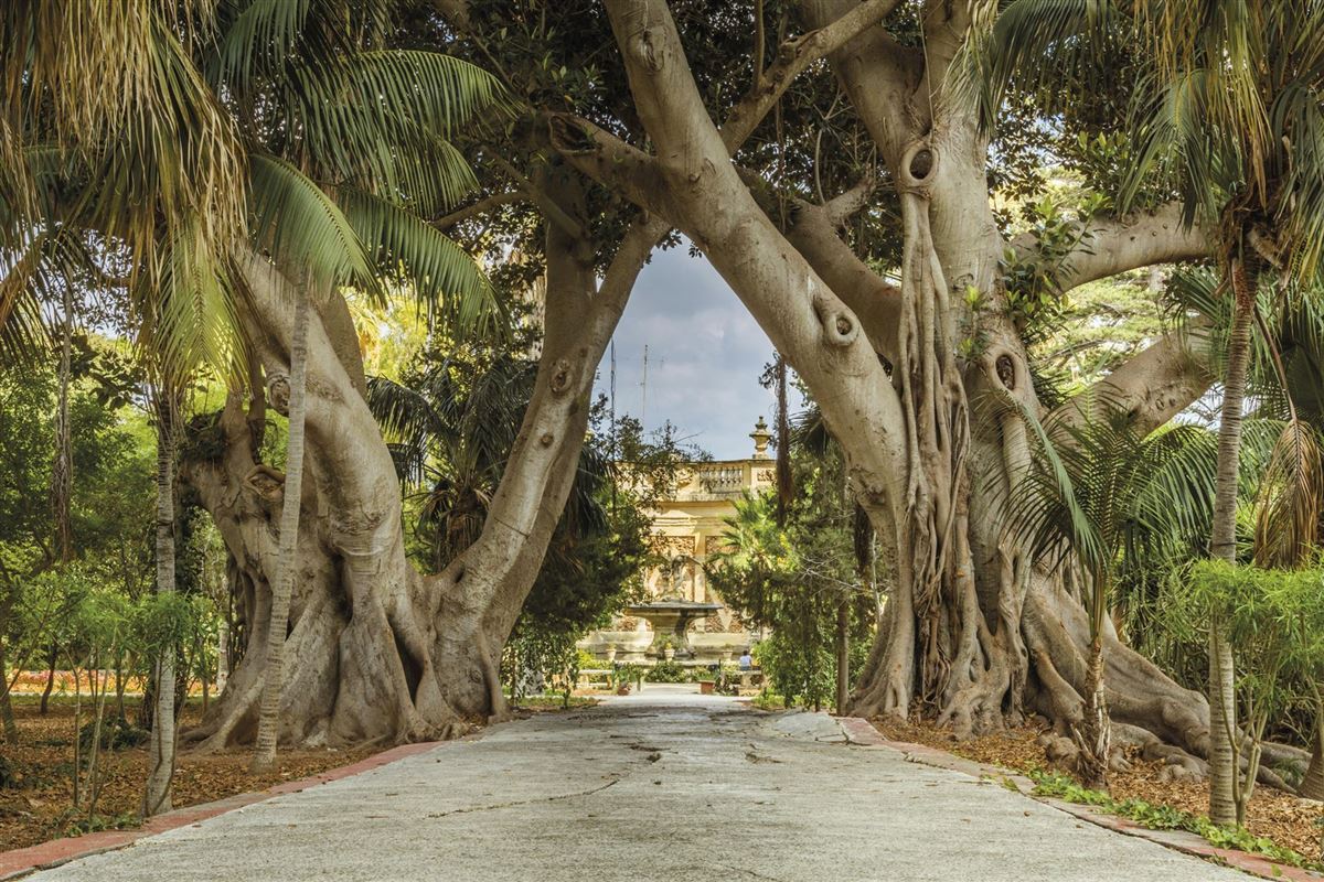 Naturlandschaften auf Malta
