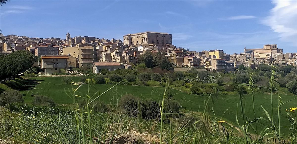 Aragona