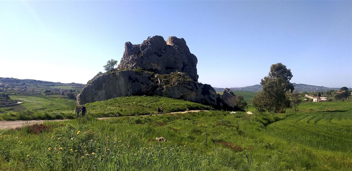 Zona Sutera