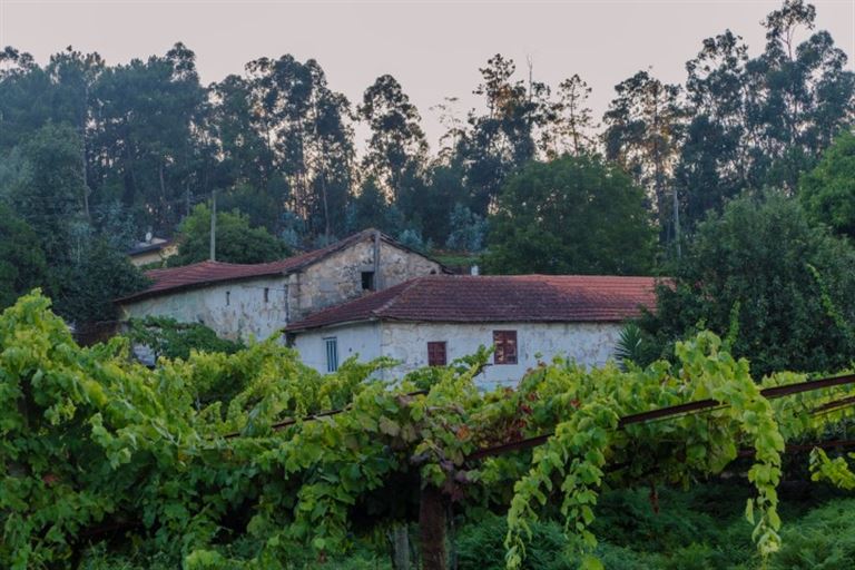Genussreise in romantischen Hotels Nordportugals © Lus /adobestock