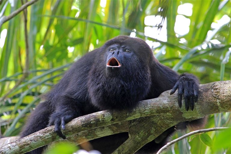 Höhepunkte Mexiko, Guatemala & Belize – Rundreise