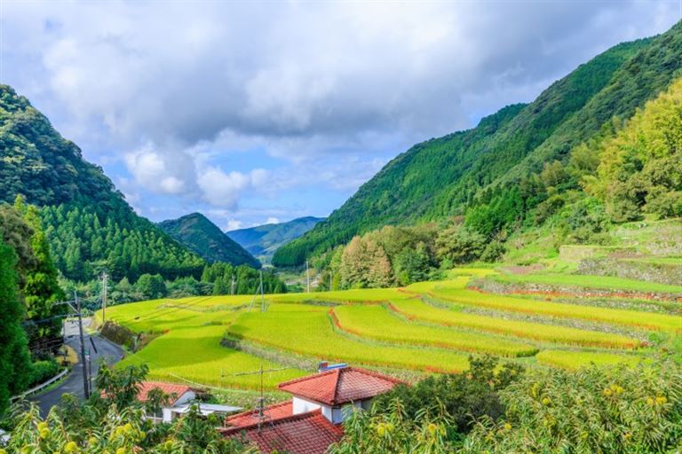 Japans grünes Gold - eine Teereise für die Sinne – Rundreise