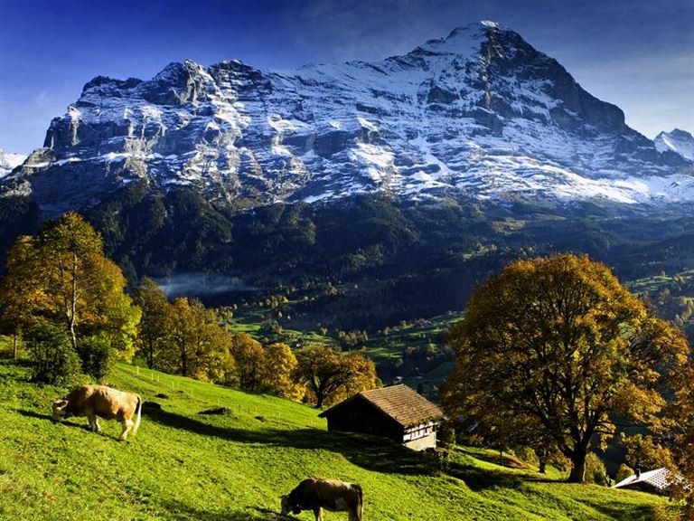 Schweiz - per Bahn durch die Berge mit Luzern – Rundreise