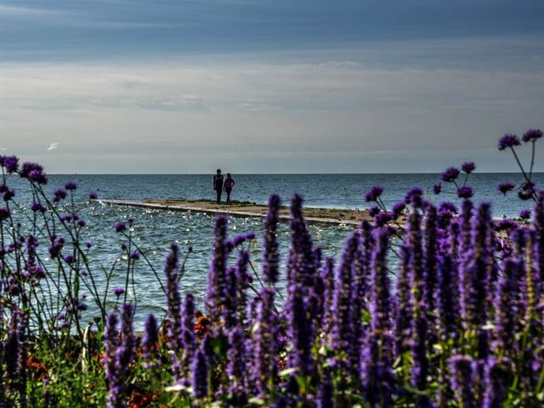 Baltikum - zwischen Mythen und Herrensitzen © by Studiosus Reisen