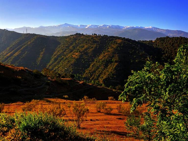 Landschaften Andalusiens © by Studiosus Reisen