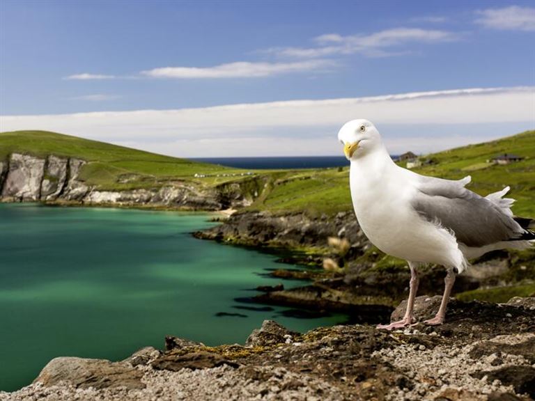 Irland auf gemütlichen Wegen © by Studiosus Reisen