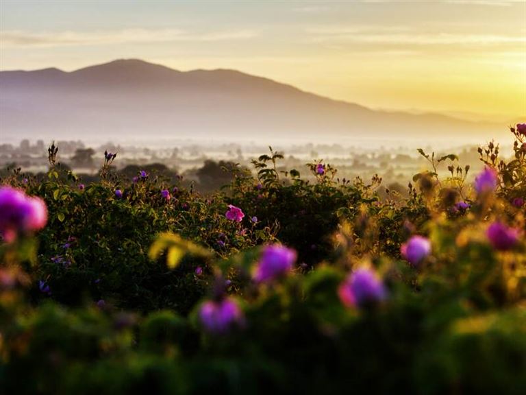 Klöster, Berge und Meer © by Studiosus Reisen