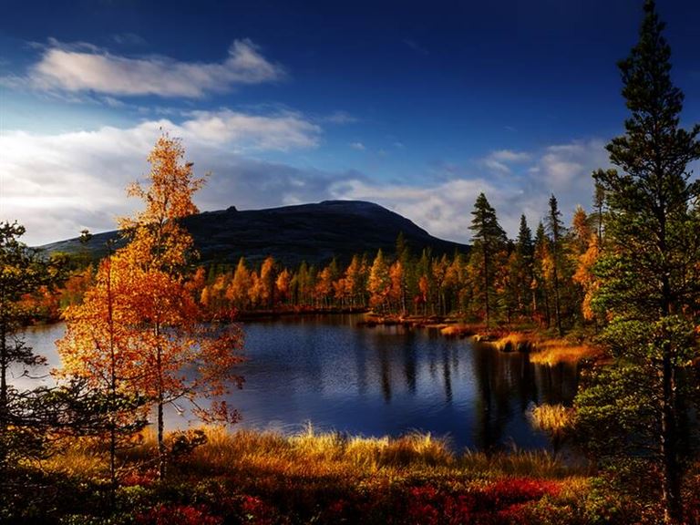 Herbstlaubfärbung im Norden © by Studiosus Reisen