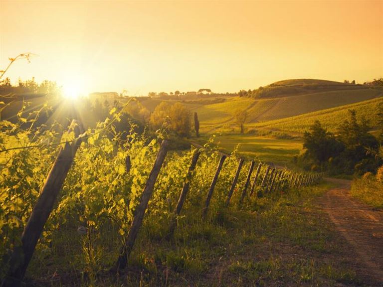 Toskana ausführlich erleben – Rundreise