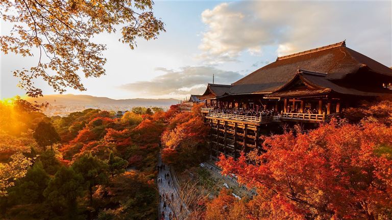 Japan für Entdecker – Rundreise