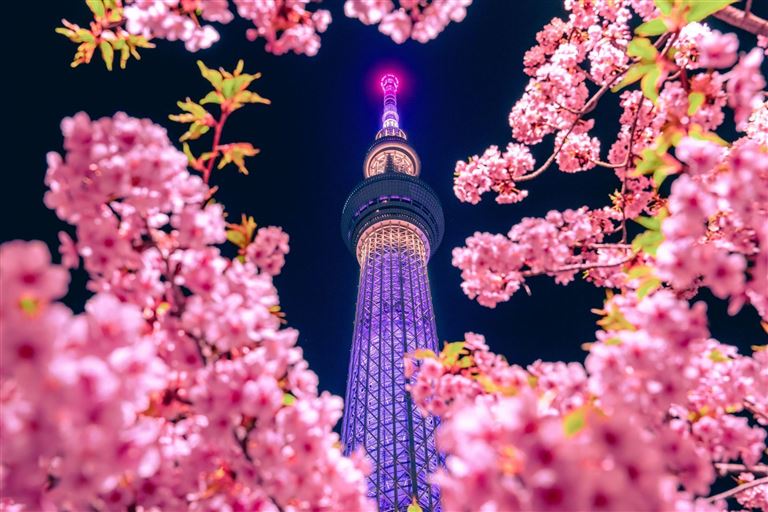 Japans prachtvolle Tempel und himmlische Gärten – Rundreise